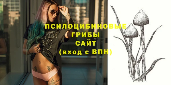 apvp Аркадак