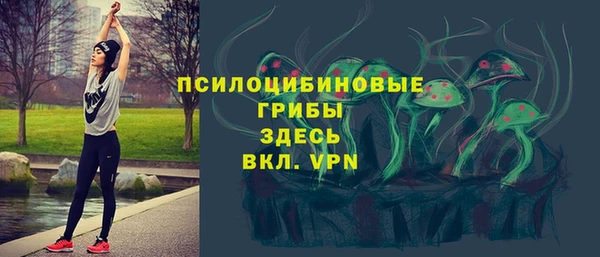 Альфа ПВП Арсеньев