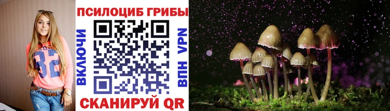 Псилоцибиновые грибы GOLDEN TEACHER закладка Сасово